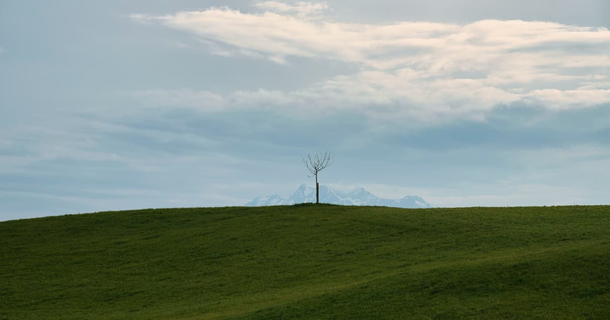 MAX Power Mining Advances Canada's First Natural Hydrogen Drill Program Through University Collaboration