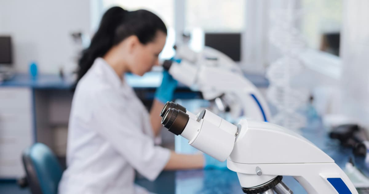 Nicola Mining lance une campagne de forage au diamant optimisée par l'IA sur le projet New Craigmont Copper